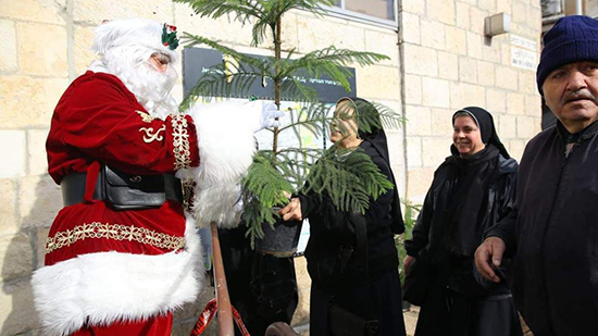 إسرائيل.. بمناسبة عيد الميلاد توزيع أشجار 