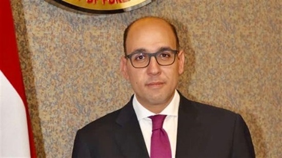 السفير أحمد حافظ