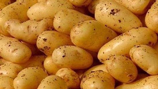 تجاوزت 816 ألف طن.. «الزراعة»: صادرات مصر من البطاطس تحقق رقم قياسي لأول مرة
