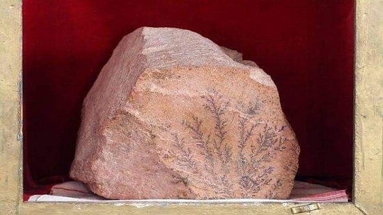 الانبا نيقولا انطونيو ينشر صورة لصخرة من جبل سيناء تحجر داخلها مزروعات عندما نزل الله بالنار على الجبل 