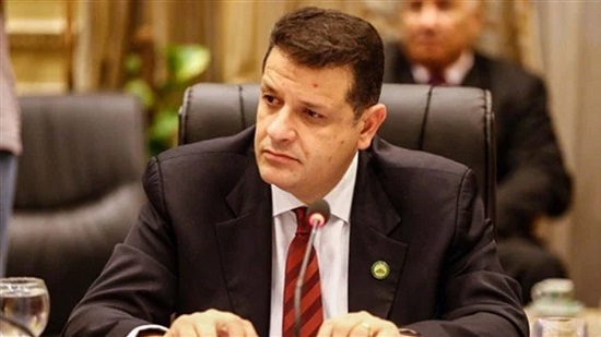 طارق رضوان رئيس لجنة حقوق النواب
