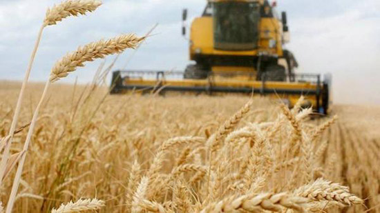 الامم المتحدة تدعو الى ضمان وصول الحبوب والأسمدة من روسيا إلى الأسواق العالمية