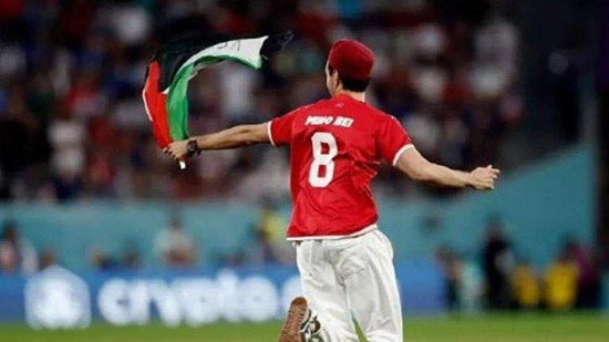 مشجع تونسي اقتحم الملعب حاملا علم فلسطين