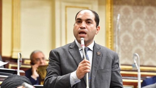  النائب عمرو درويش يطالب الحكومة بتوفير العملة الصعبة