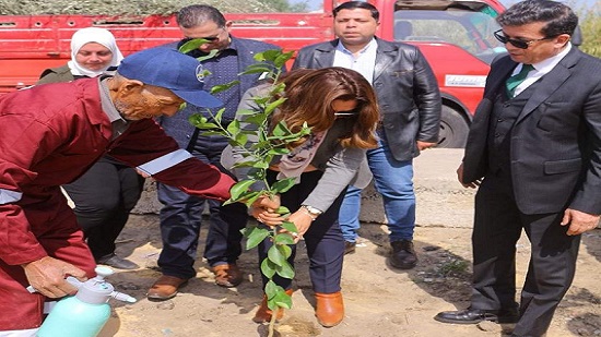 د.منال عوض : استلام ١٠٠ الف شجرة ضمن أعمال المبادرة الرئاسية