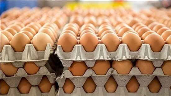 زيادة جديدة في سعر البيض الأبيض بالمزرعة اليوم الجمعة