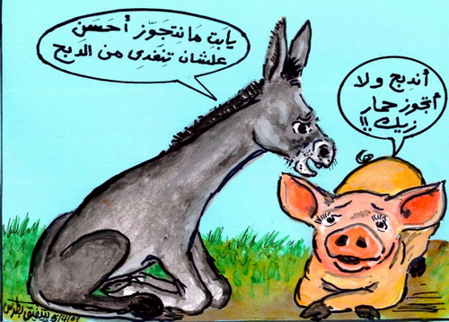 Copts United | الأقباط متحدون | الإصرار المتعمد بذبح كل الخنازير بمصر